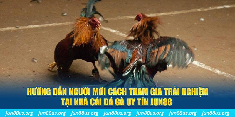 w88 mobile casino Trực tuyến