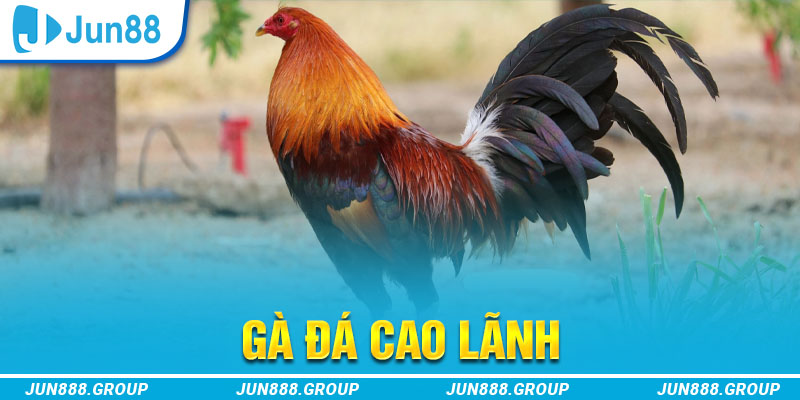 hit22 club sòng bạc là gì