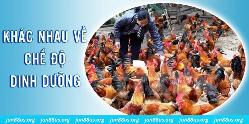 fb88 casino SÒNG BẠC