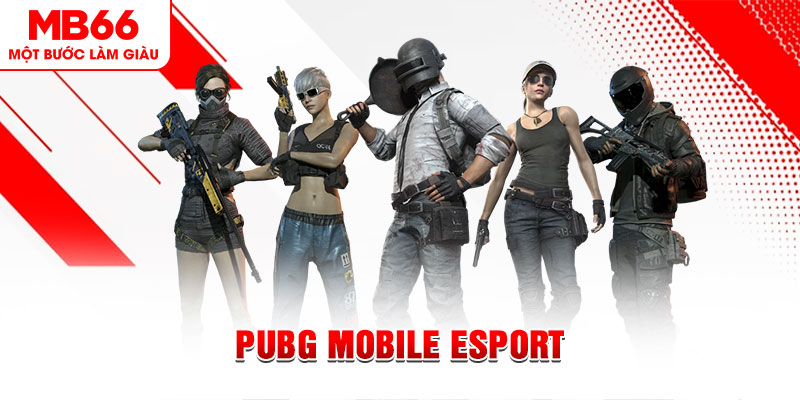 king game casino KÈO NHÀ CÁI