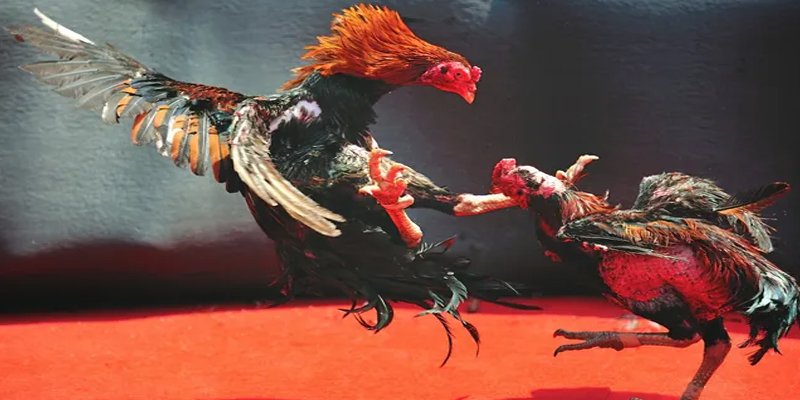 win789 casino LÀ GÌ