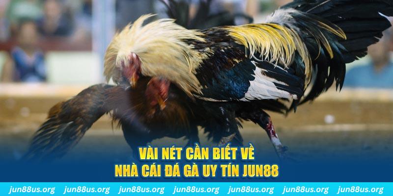 88 code casino LINK MỚI