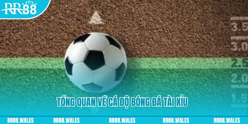 slot8 bet casino Đăng ký