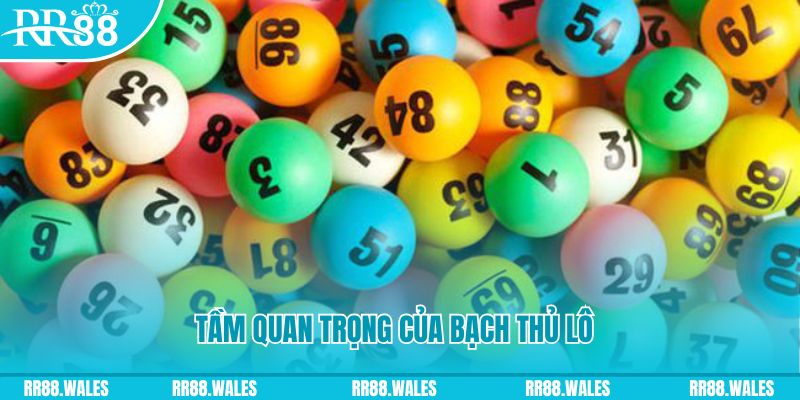 nn88 casino ĐĂNG NHẬP