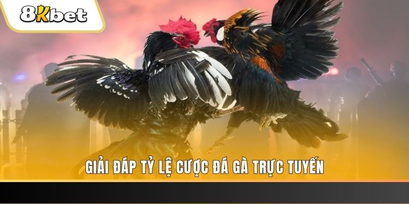 sodo66 sòng bạc KÈO NHÀ CÁI