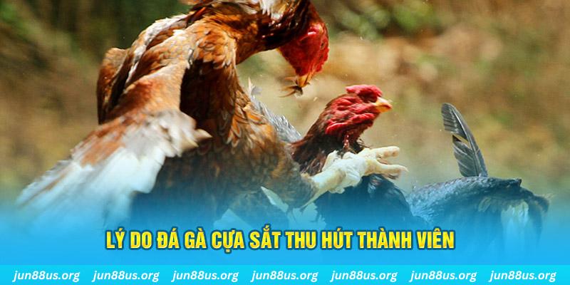 venus casino Đăng ký