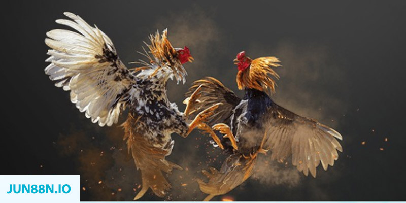 hit club sòng bạc LINK MỚI