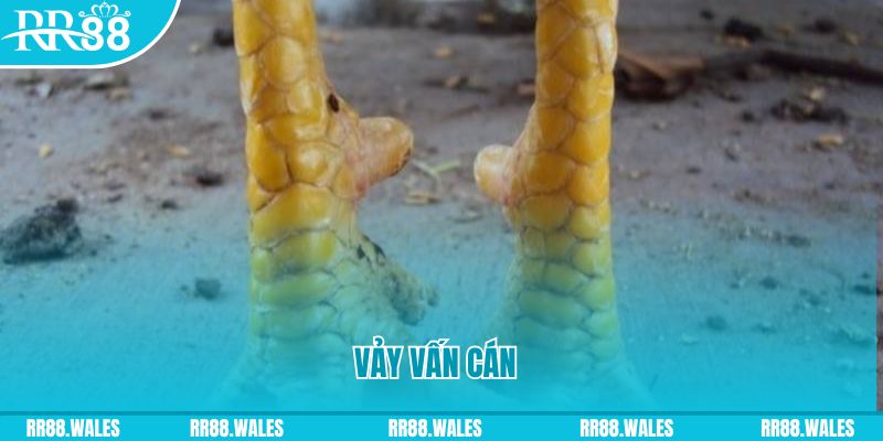 ae8888 casino Đăng ký