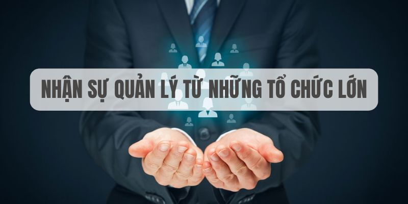 181bet sòng bạc tỷ lệ bóng đá