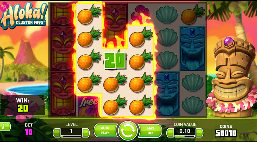 win bet casino kèo nhà cái