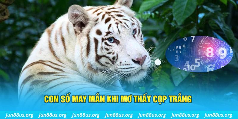 scv388 casino SÒNG BẠC