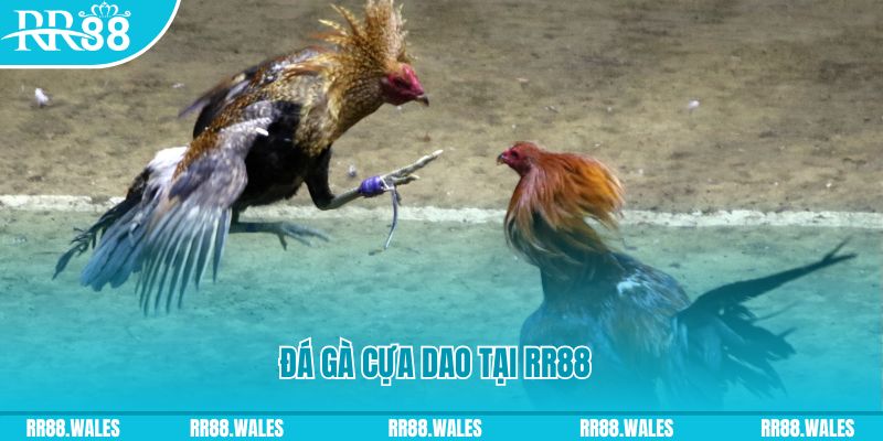 hit23 club casino Đăng nhập